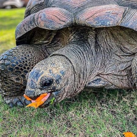 Hotel Viva Montane Ban Nong Chap Tao Zewnętrze zdjęcie